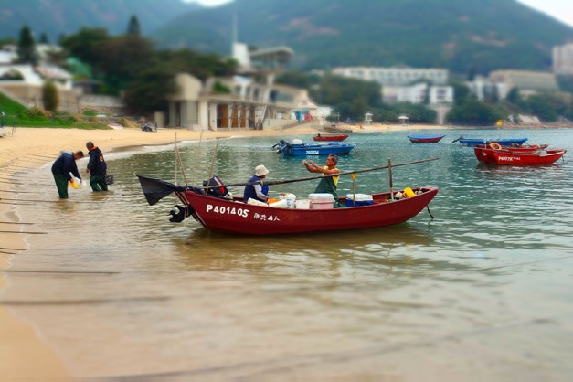 aStanleyFish.DSC_0223z60